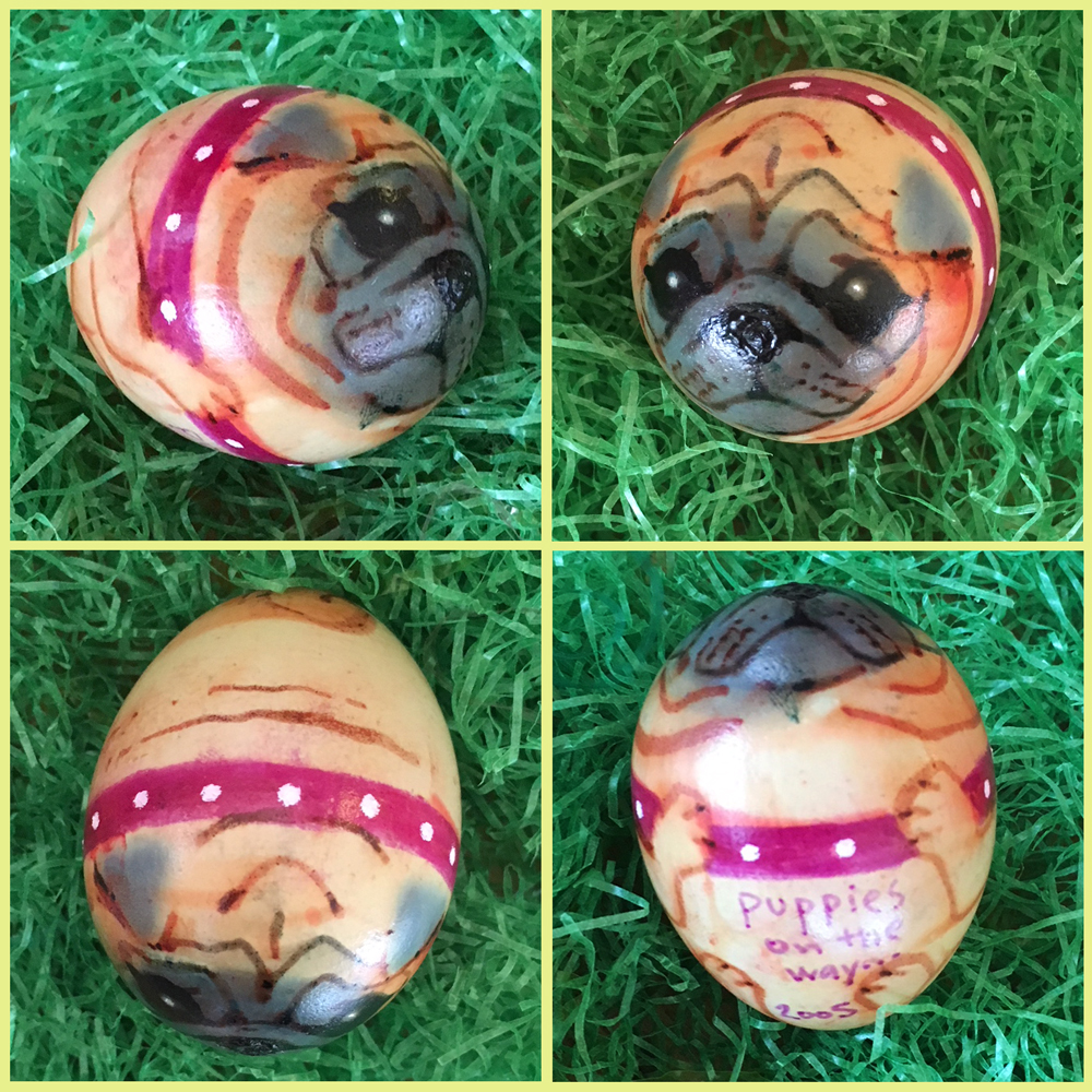 pug eggs